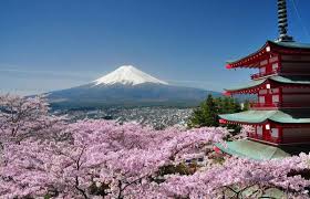 Yaponiya - VIP Paket (7 kishilik guruh)